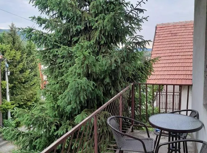 Beli Ocnjak * Soko Banja